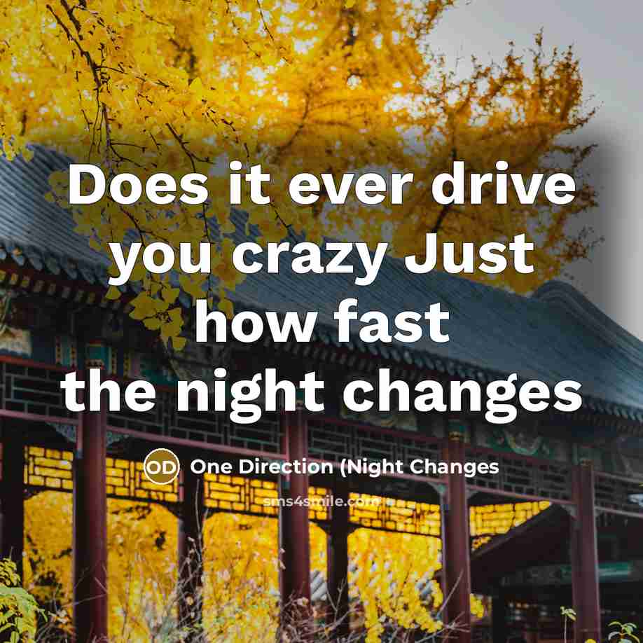 “Does it ever drive you crazy Just how fast the night changes” quote by One Direction (NIght Changes