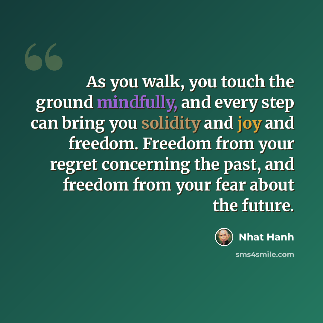 “As you walk, you touch the ground mindfully, and every step can bring you solidity and joy and freedom. Freedom from your regret concerning the past, and freedom from your fear about the future.” quote by Nhat Hanh