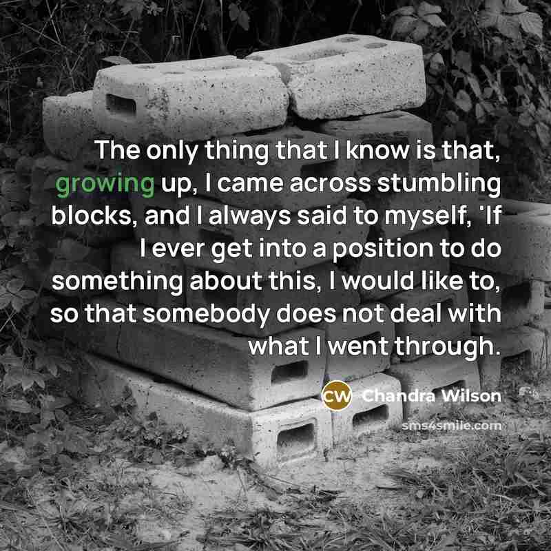 “The only thing that I know is that, growing up, I came across stumbling blocks, and I always said to myself, 'If I ever get into a position to do something about this, I would like to, so that somebody does not deal with what I went through.” quote by Chandra Wilson