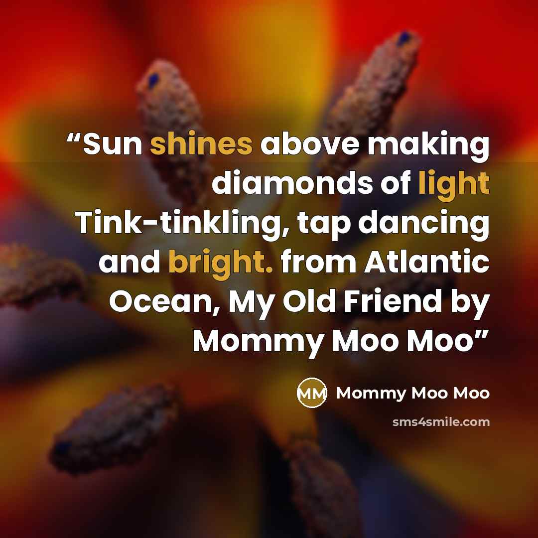 “Sun shines above making diamonds of light Tink-tinkling, tap dancing and bright. from Atlantic Ocean, My Old Friend by Mommy Moo Moo” quote by Mommy Moo Moo