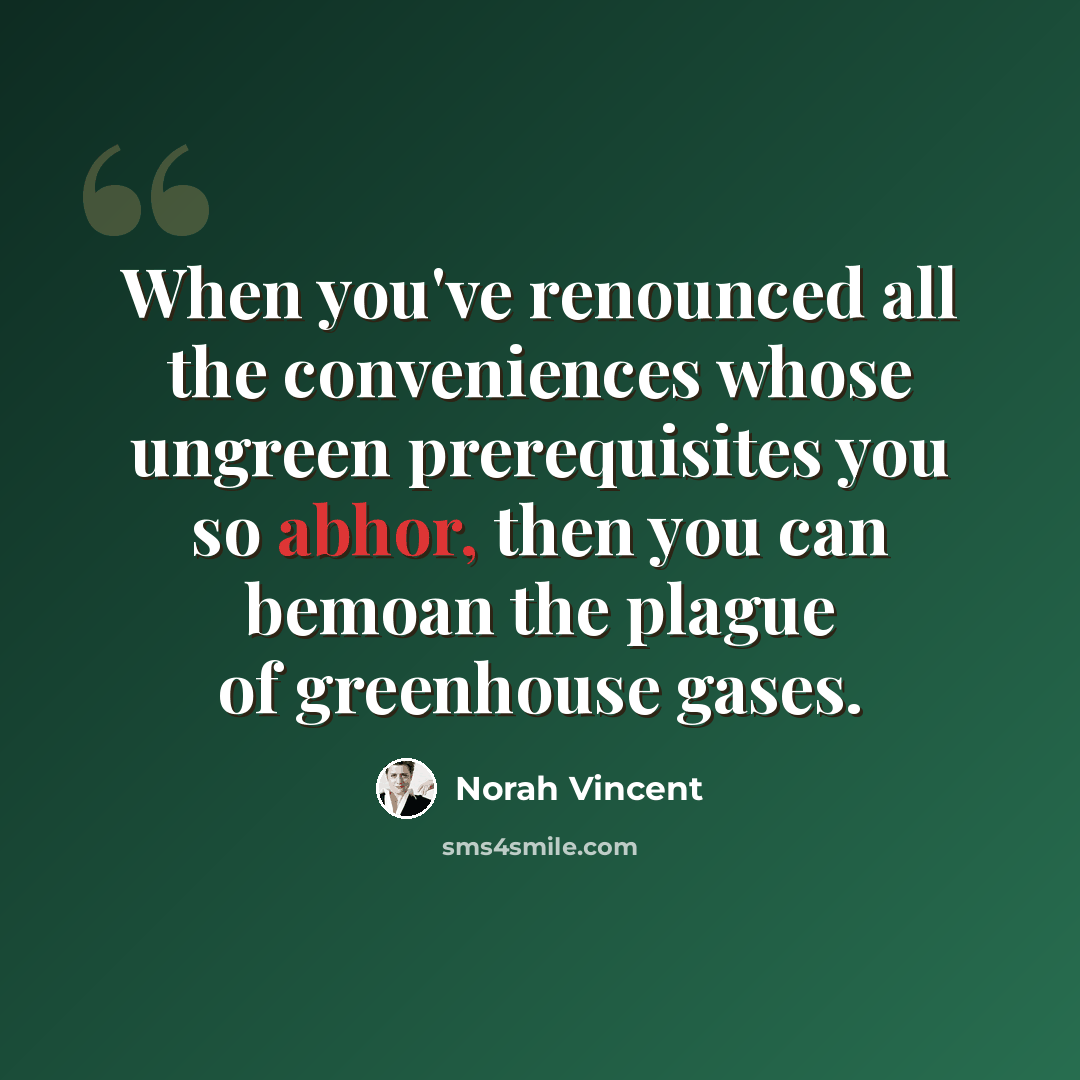 “When you've renounced all the conveniences whose ungreen prerequisites you so abhor, then you can bemoan the plague of greenhouse gases.” quote by Norah Vincent