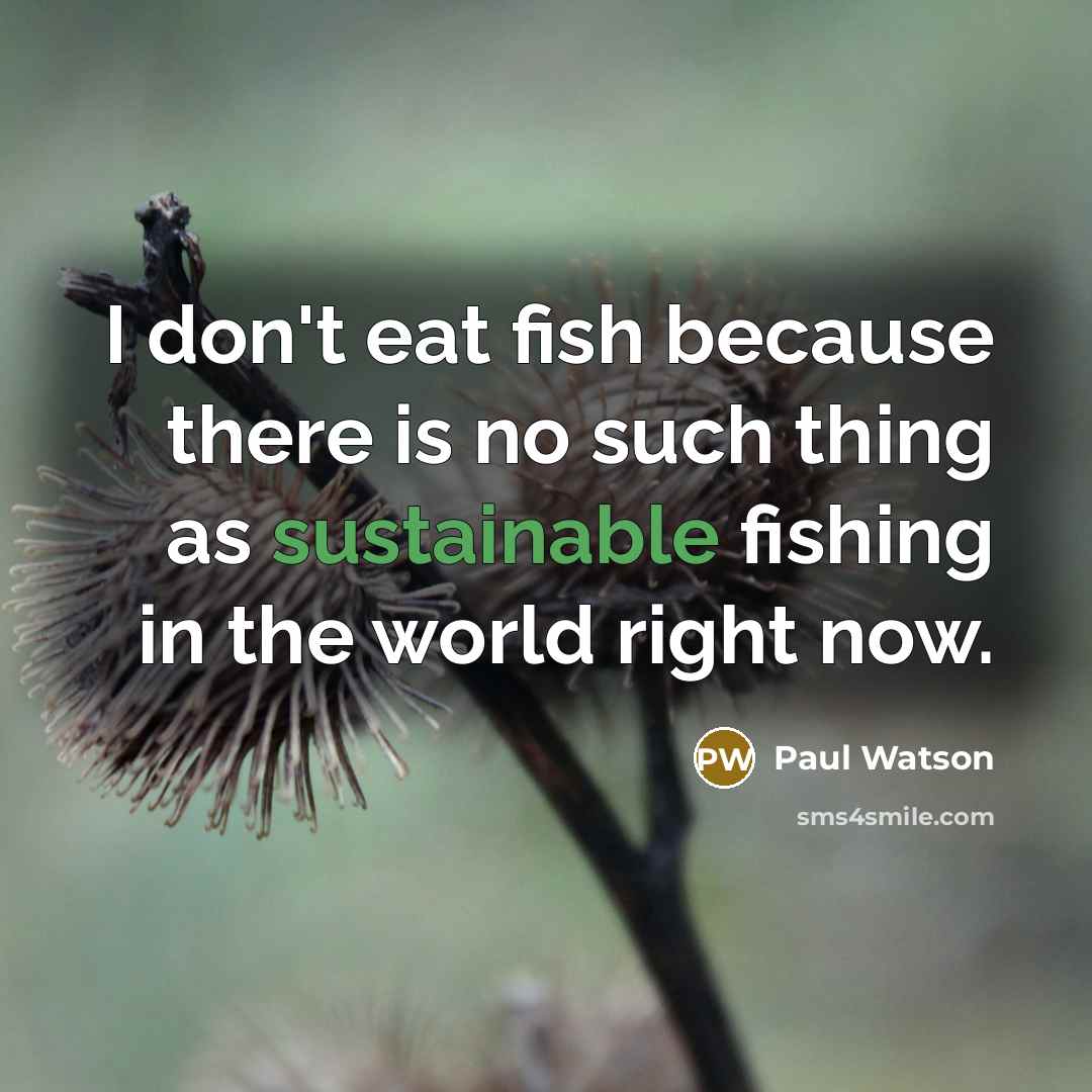 “I don't eat fish because there is no such thing as sustainable fishing in the world right now.” quote by Paul Watson