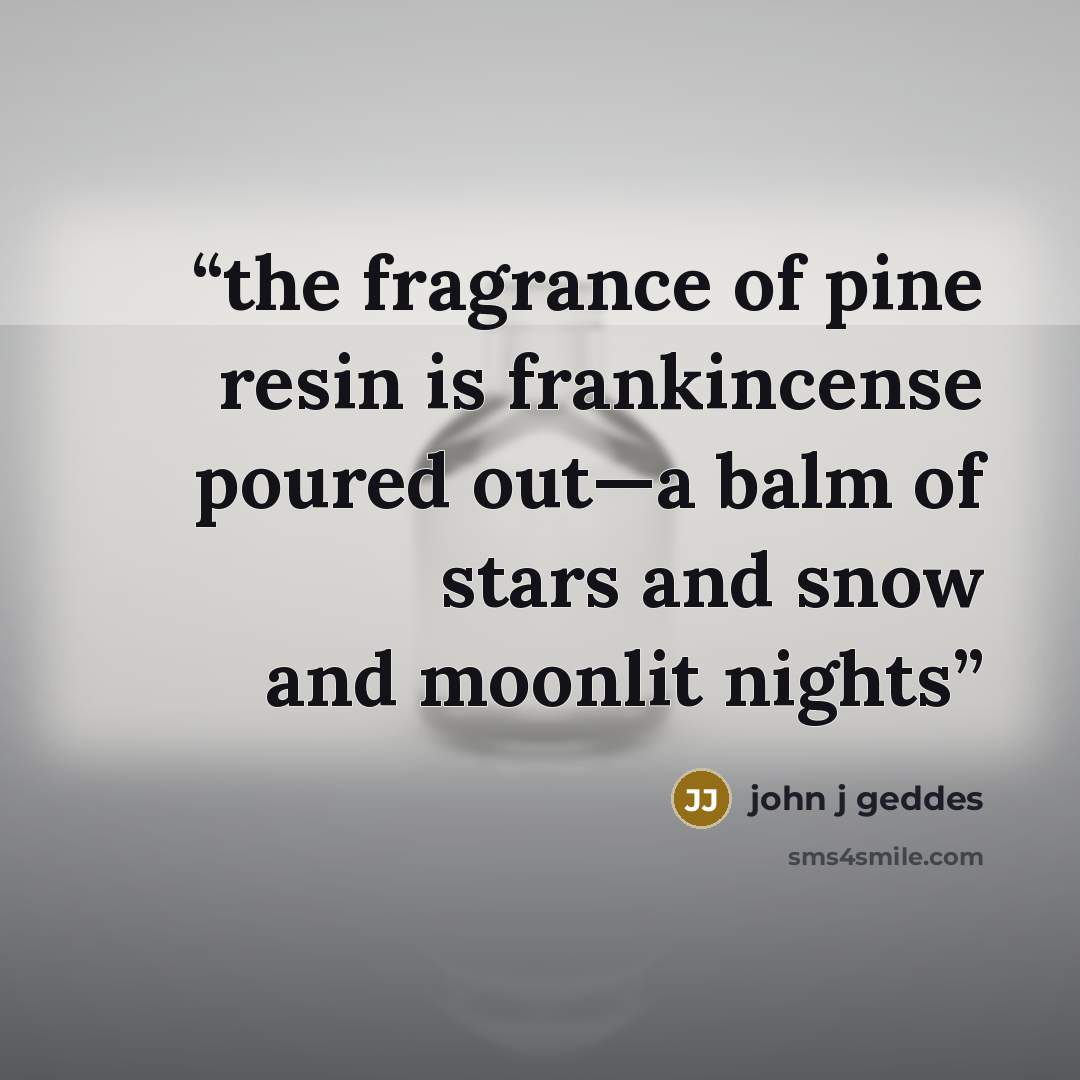 “the fragrance of pine resin is frankincense poured out—a balm of stars and snow and moonlit nights” quote by john j geddes