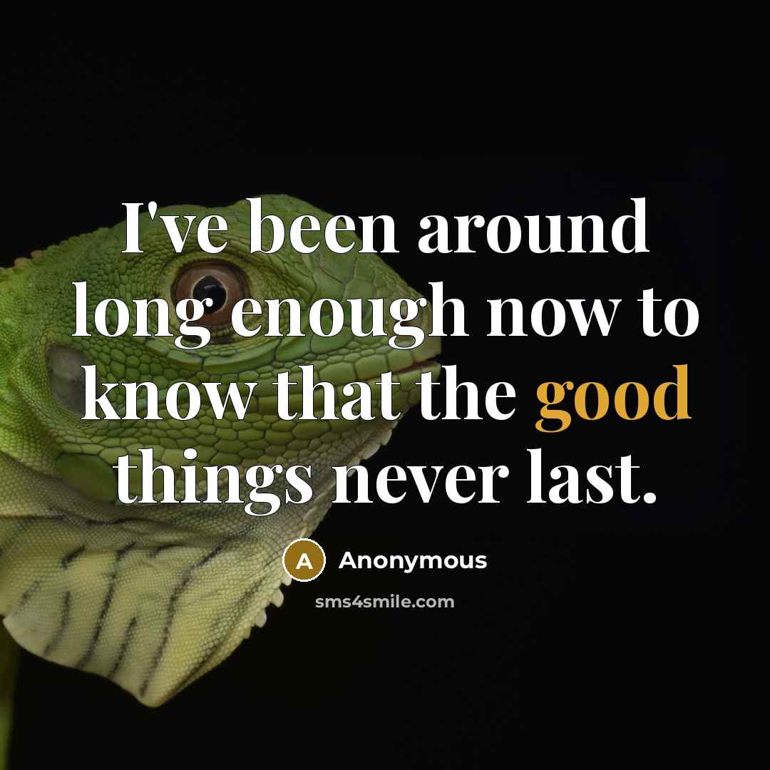 “I've been around long enough now to know that the good things never last.” quote by Anonymous