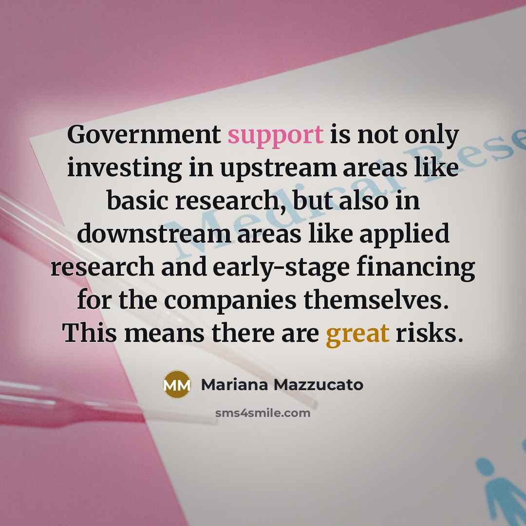 “Government support is not only investing in upstream areas like basic research, but also in downstream areas like applied research and early-stage financing for the companies themselves. This means there are great risks.” quote by Mariana Mazzucato