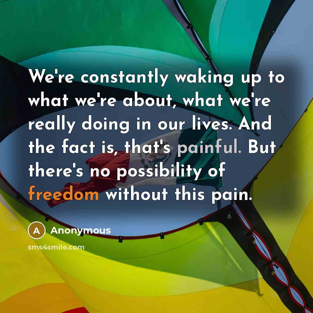 “We're constantly waking up to what we're about, what we're really doing in our lives. And the fact is, that's painful. But there's no possibility of freedom without this pain.” quote by Anonymous