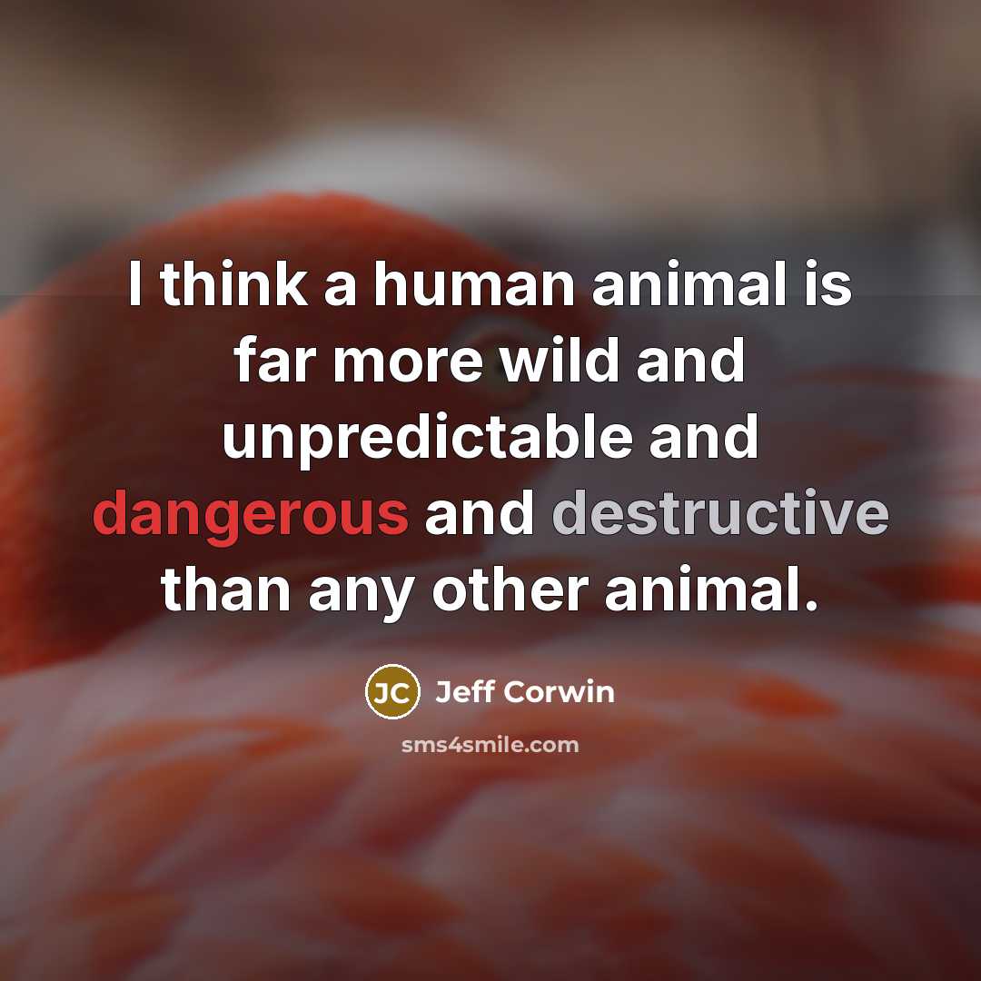 “I think a human animal is far more wild and unpredictable and dangerous and destructive than any other animal.” quote by Jeff Corwin