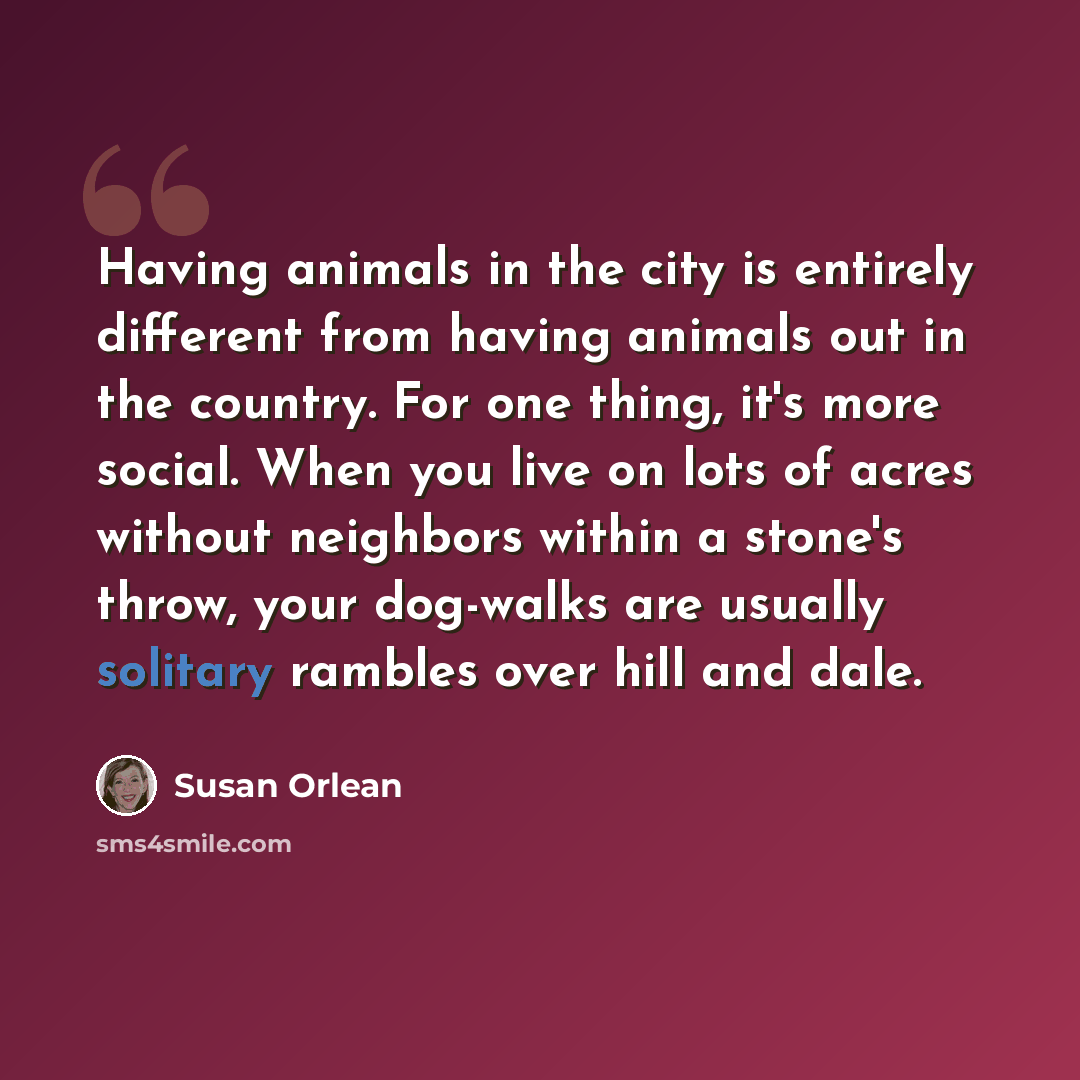 “Having animals in the city is entirely different from having animals out in the country. For one thing, it's more social. When you live on lots of acres without neighbors within a stone's throw, your dog-walks are usually solitary rambles over hill and dale.” quote by Susan Orlean