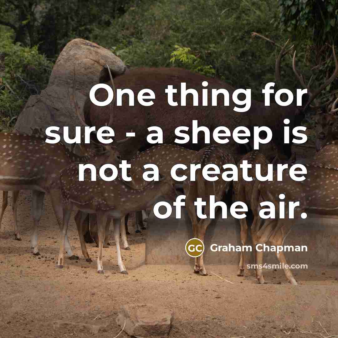 “One thing for sure - a sheep is not a creature of the air.” quote by Graham Chapman