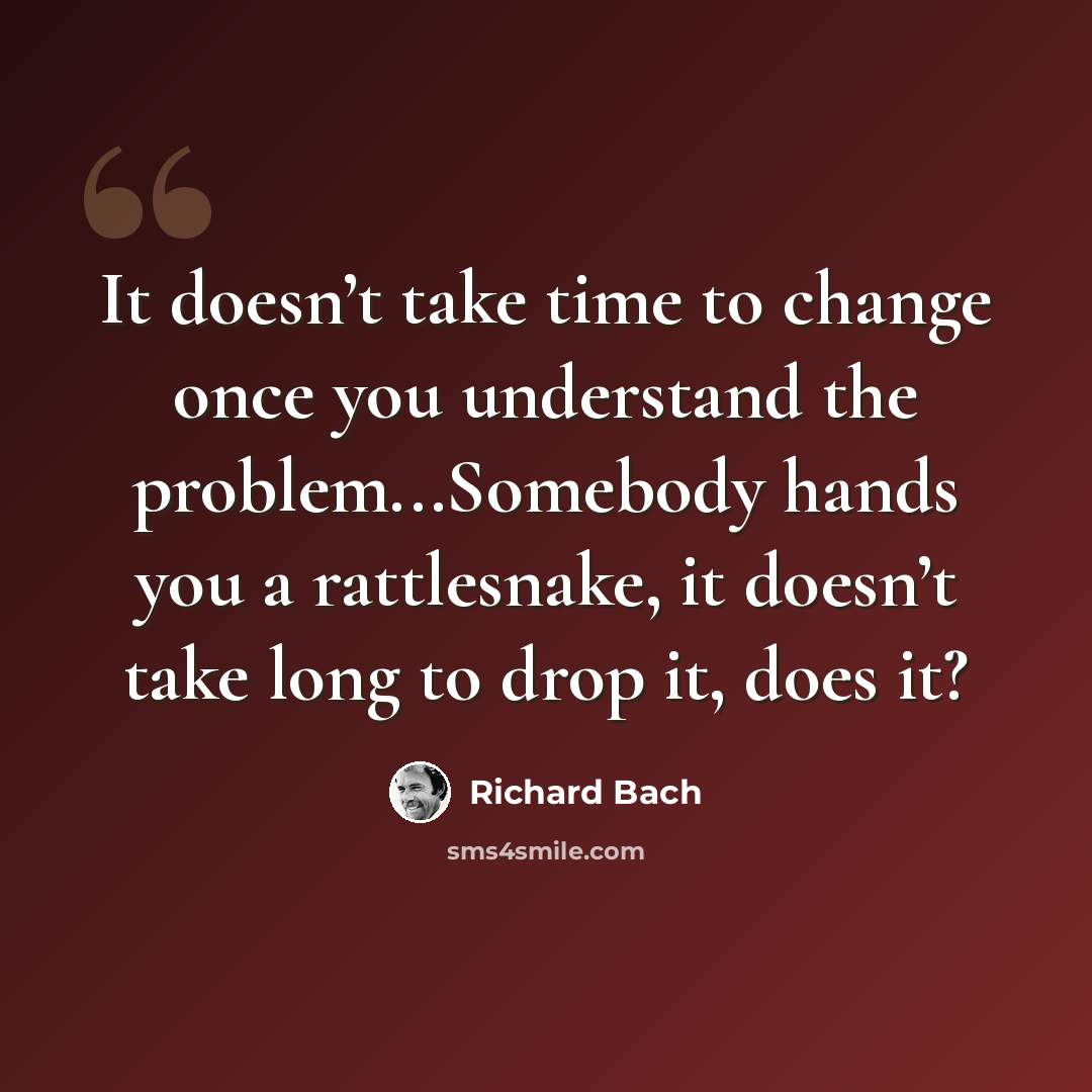 “It doesn’t take time to change once you understand the problem...Somebody hands you a rattlesnake, it doesn’t take long to drop it, does it?” quote by Richard Bach