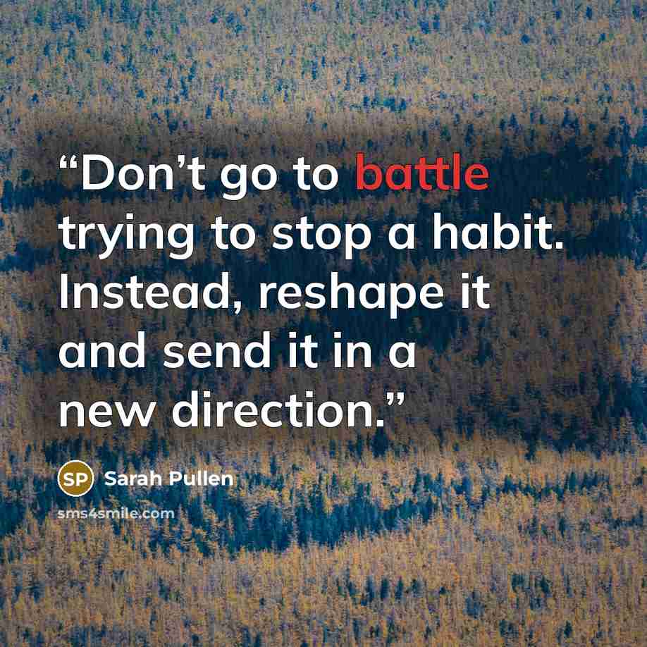 “Don’t go to battle trying to stop a habit. Instead, reshape it and send it in a new direction.” quote by Sarah Pullen