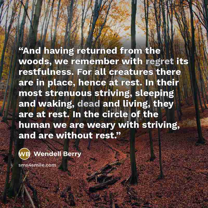 “And having returned from the woods, we remember with regret its restfulness. For all creatures there are in place, hence at rest. In their most strenuous striving, sleeping and waking, dead and living, they are at rest. In the circle of the human we are weary with striving, and are without rest.” quote by Wendell Berry
