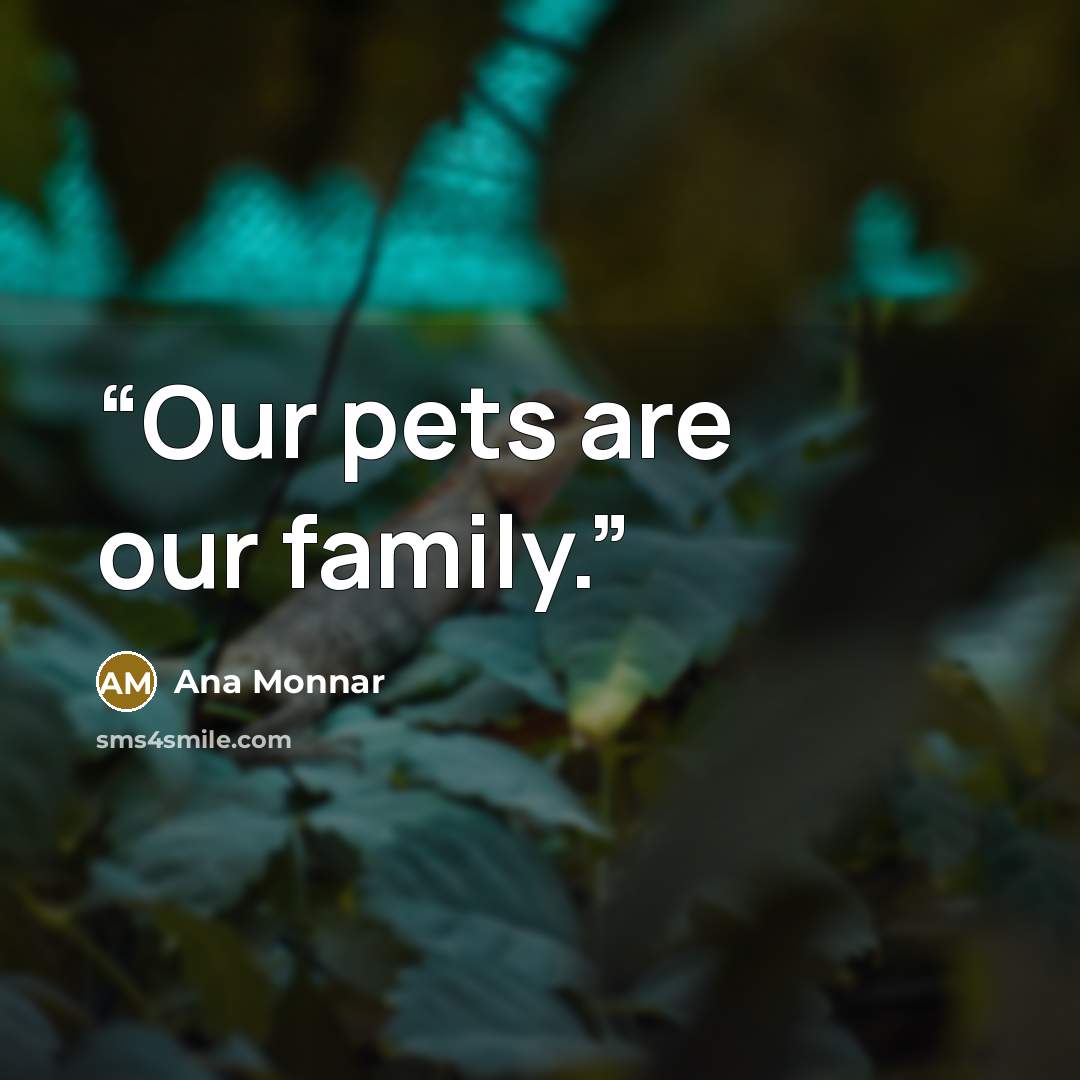 “Our pets are our family.” quote by Ana Monnar