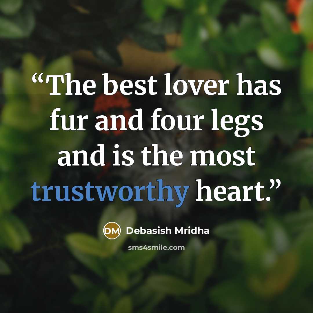 “The best lover has fur and four legs and is the most trustworthy heart.” quote by Debasish Mridha