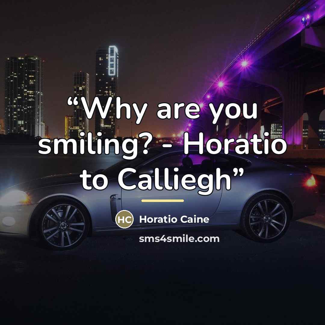 “Why are you smiling? - Horatio to Calliegh” quote by Horatio Caine