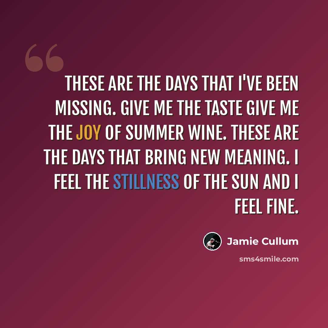 “These are the days that I've been missing. Give me the taste give me the joy of summer wine. These are the days that bring new meaning. I feel the stillness of the sun and I feel fine.” quote by Jamie Cullum