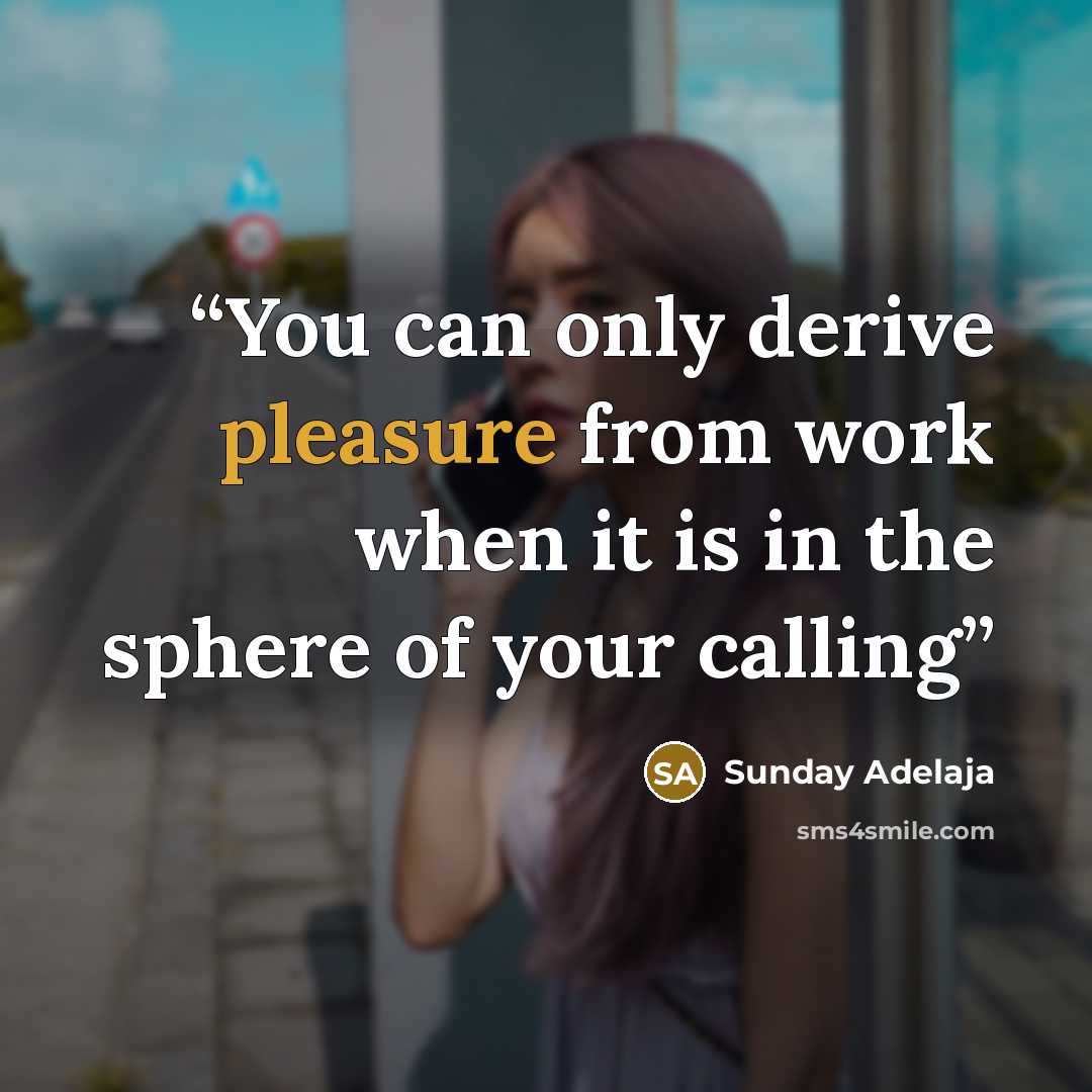 “You can only derive pleasure from work when it is in the sphere of your calling” quote by Sunday Adelaja