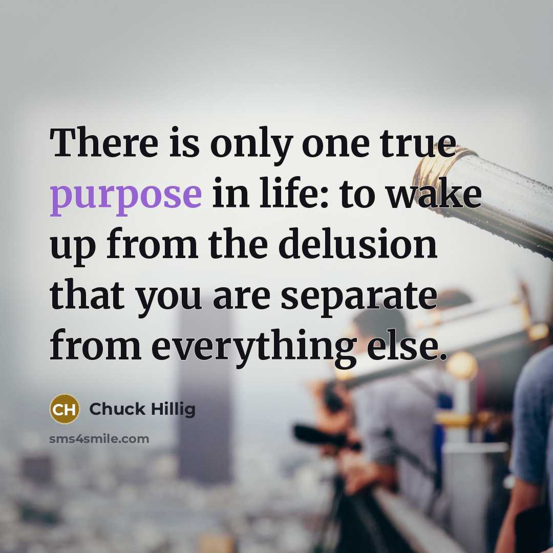 “There is only one true purpose in life: to wake up from the delusion that you are separate from everything else.” quote by Chuck Hillig