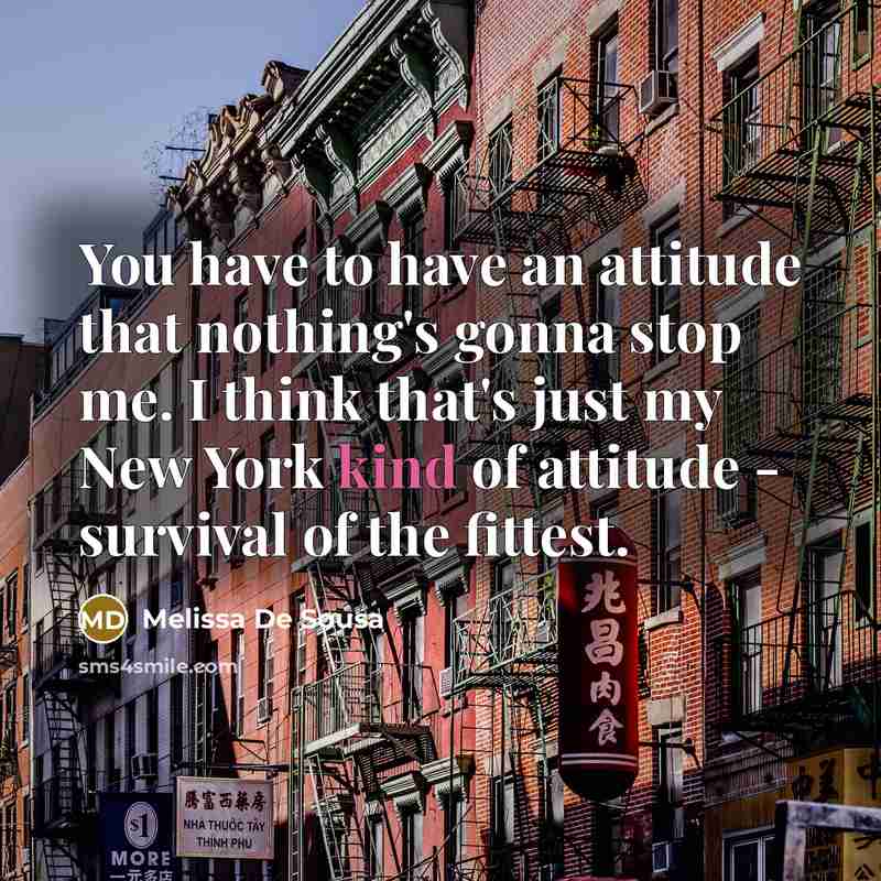 “You have to have an attitude that nothing's gonna stop me. I think that's just my New York kind of attitude - survival of the fittest.” quote by Melissa De Sousa