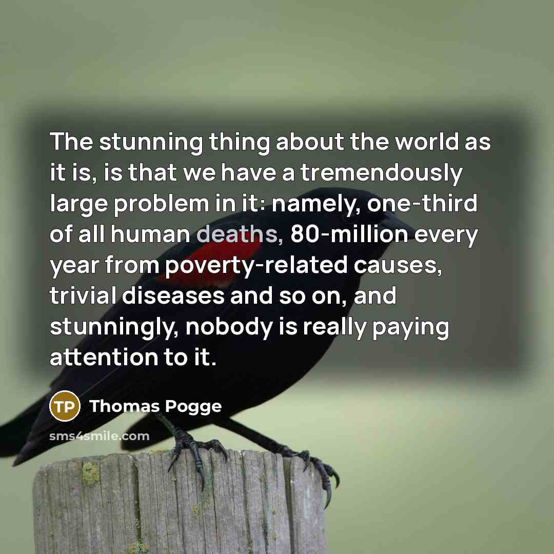 “The stunning thing about the world as it is, is that we have a tremendously large problem in it: namely, one-third of all human deaths, 80-million every year from poverty-related causes, trivial diseases and so on, and stunningly, nobody is really paying attention to it.” quote by Thomas Pogge