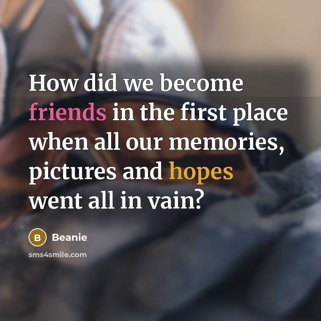 “How did we become friends in the first place when all our memories, pictures and hopes went all in vain?” quote by Beanie
