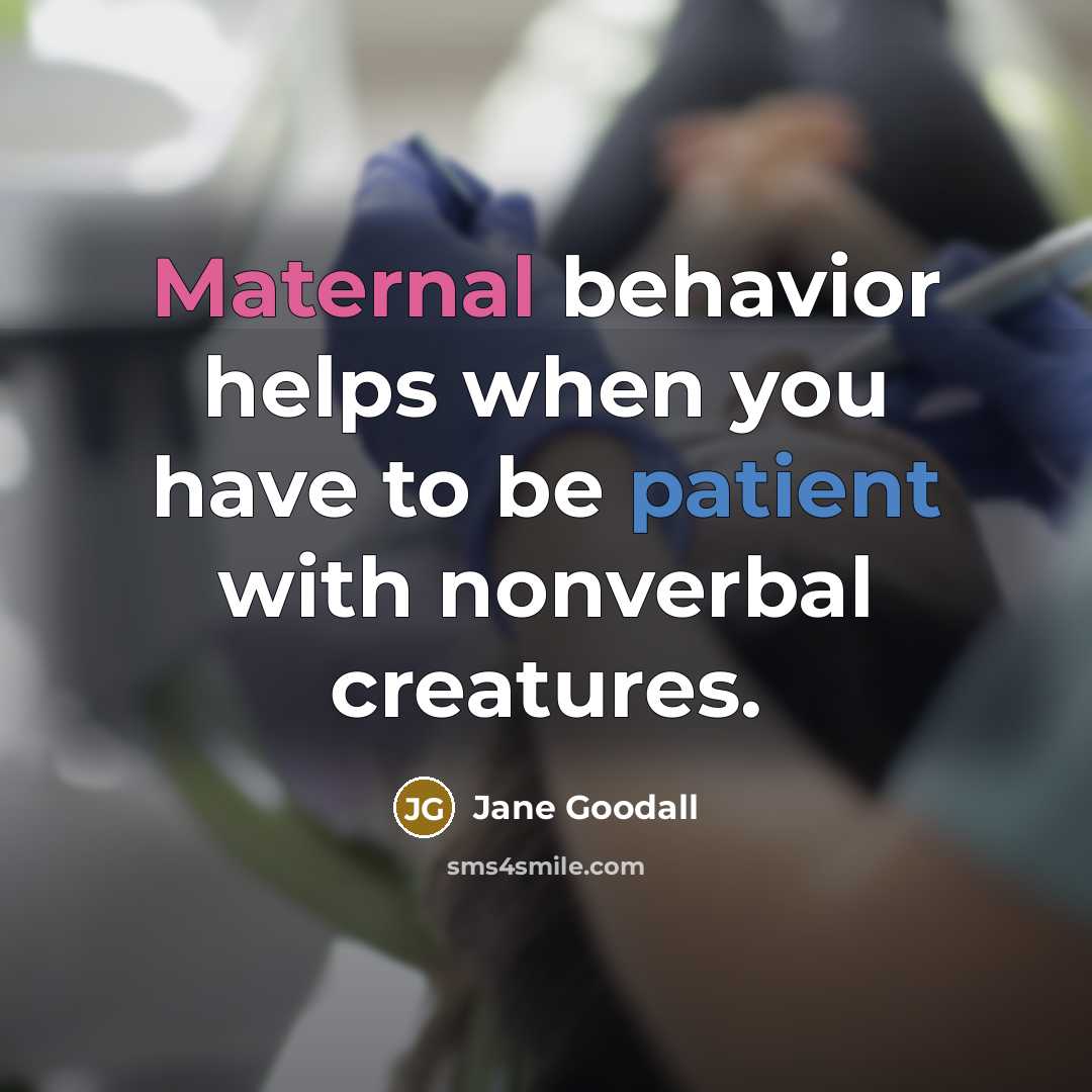 “Maternal behavior helps when you have to be patient with nonverbal creatures.” quote by Jane Goodall