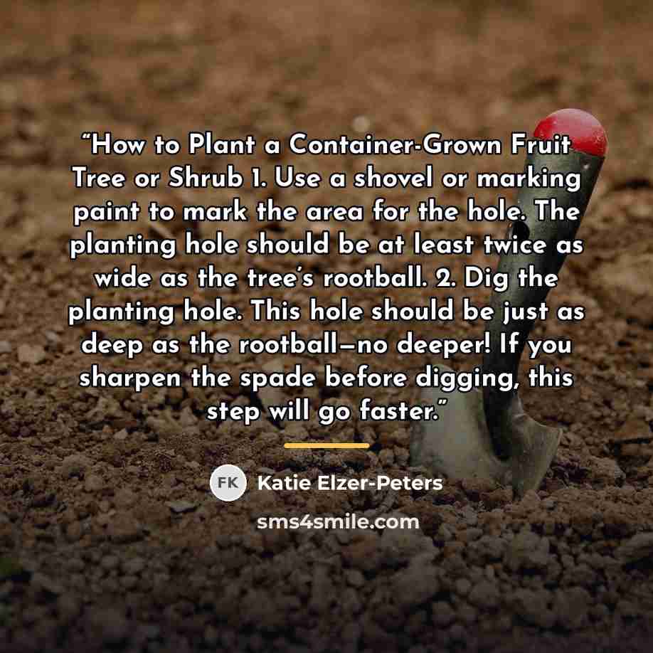 “How to Plant a Container-Grown Fruit Tree or Shrub 1. Use a shovel or marking paint to mark the area for the hole. The planting hole should be at least twice as wide as the tree’s rootball. 2. Dig the planting hole. This hole should be just as deep as the rootball—no deeper! If you sharpen the…” quote by Katie Elzer-Peters