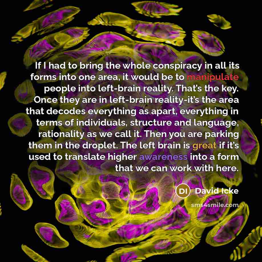 “If I had to bring the whole conspiracy in all its forms into one area, it would be to manipulate people into left-brain reality. That’s the key. Once they are in left-brain reality-it’s the area that decodes everything as apart, everything in terms of individuals, structure and language…” quote by David Icke