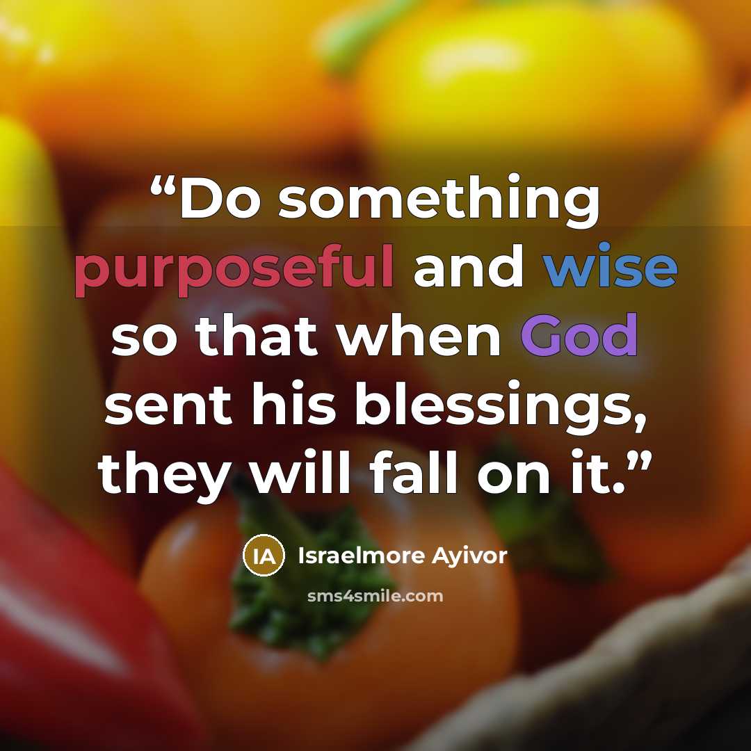 “Do something purposeful and wise so that when God sent his blessings, they will fall on it.” quote by Israelmore Ayivor