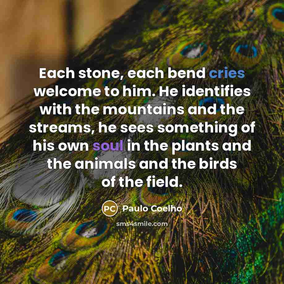 “Each stone, each bend cries welcome to him. He identifies with the mountains and the streams, he sees something of his own soul in the plants and the animals and the birds of the field.” quote by Paulo Coelho