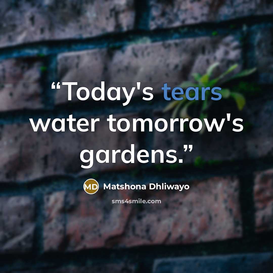 “Today's tears water tomorrow's gardens.” quote by Matshona Dhliwayo