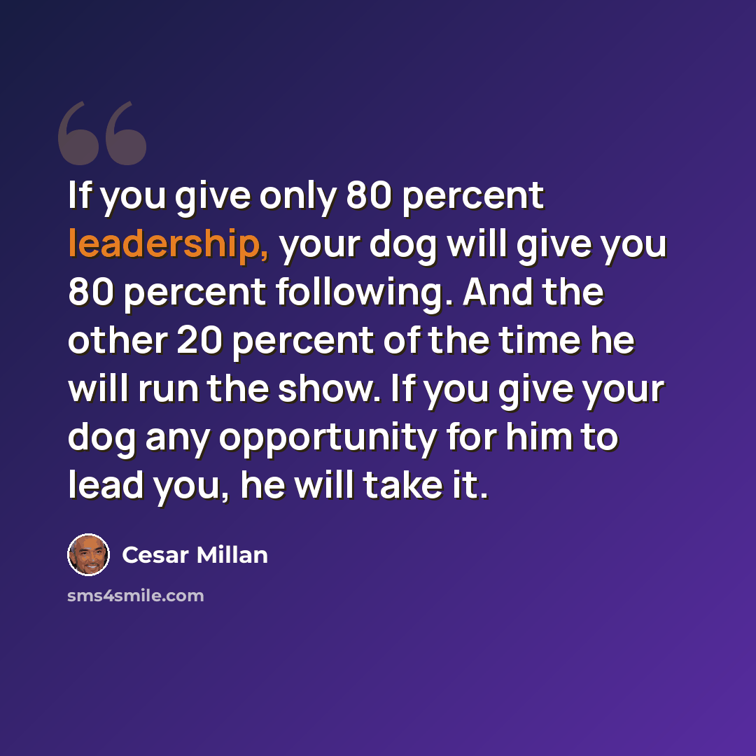 “If you give only 80 percent leadership, your dog will give you 80 percent following. And the other 20 percent of the time he will run the show. If you give your dog any opportunity for him to lead you, he will take it.” quote by Cesar Millan