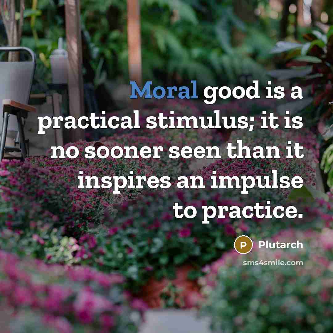 “Moral good is a practical stimulus; it is no sooner seen than it inspires an impulse to practice.” quote by Plutarch