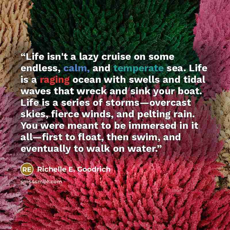 “Life isn't a lazy cruise on some endless, calm, and temperate sea. Life is a raging ocean with swells and tidal waves that wreck and sink your boat. Life is a series of storms―overcast skies, fierce winds, and pelting rain. You were meant to be immersed in it all―first to float, then swim, and…” quote by Richelle E. Goodrich