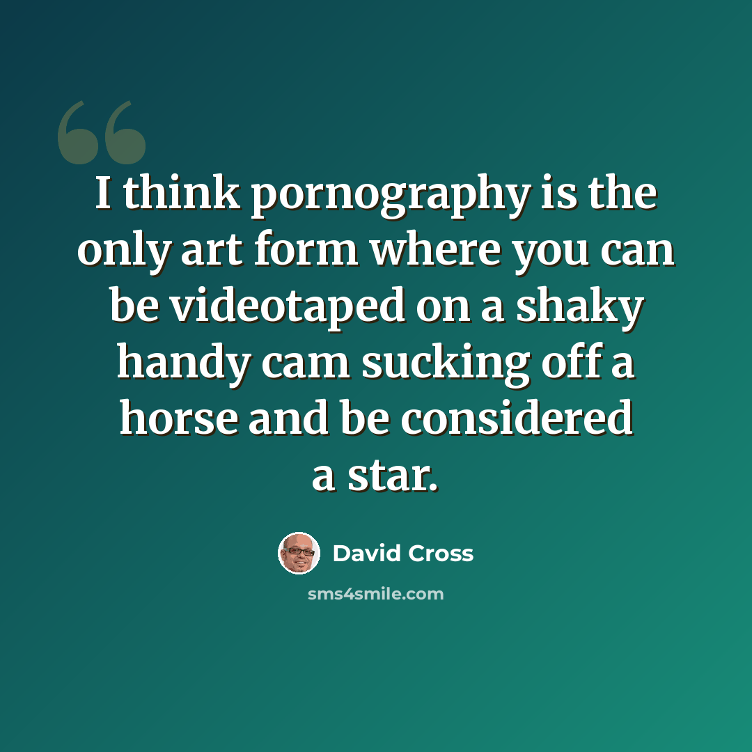 “I think pornography is the only art form where you can be videotaped on a shaky handy cam sucking off a horse and be considered a star.” quote by David Cross