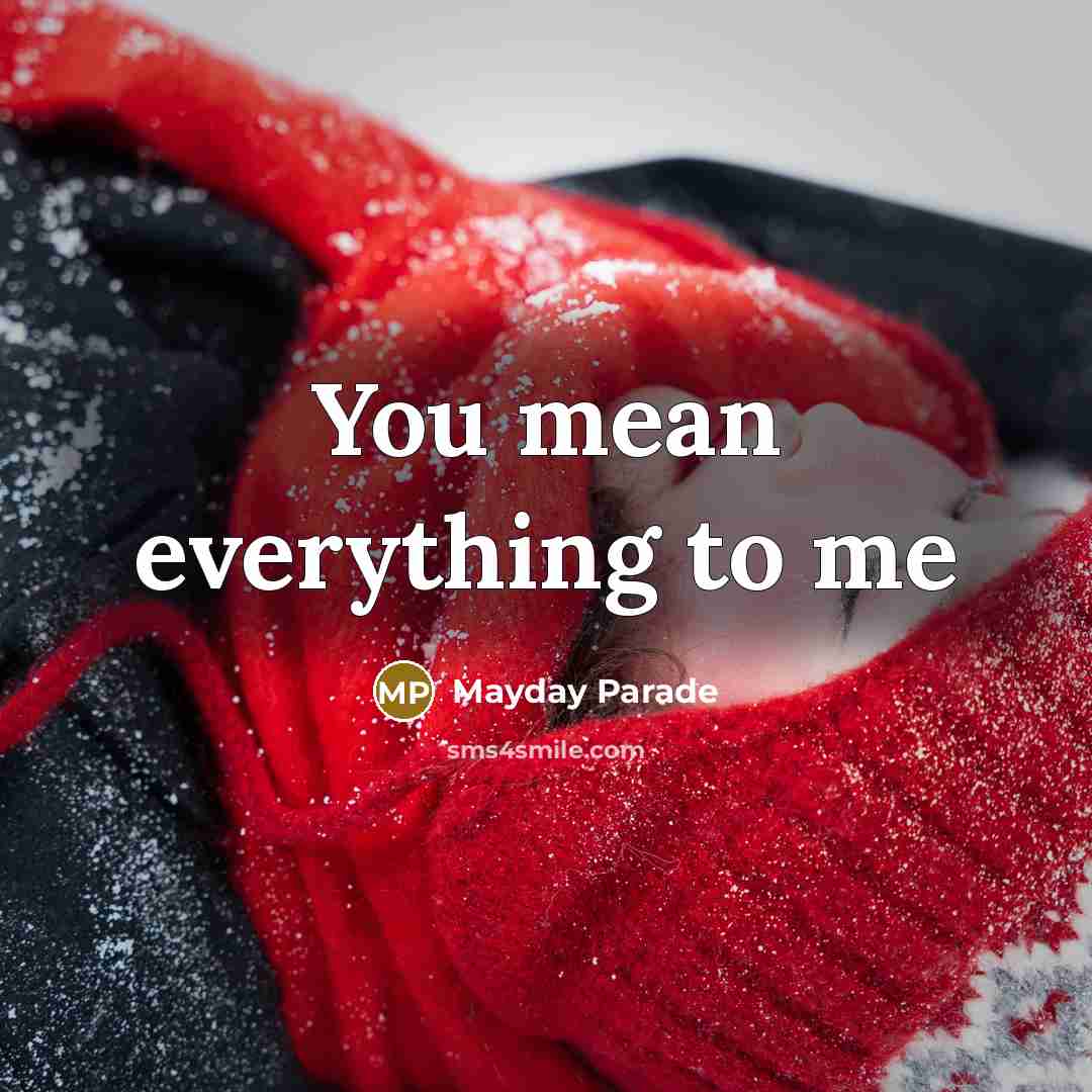 “You mean everything to me” quote by Mayday Parade
