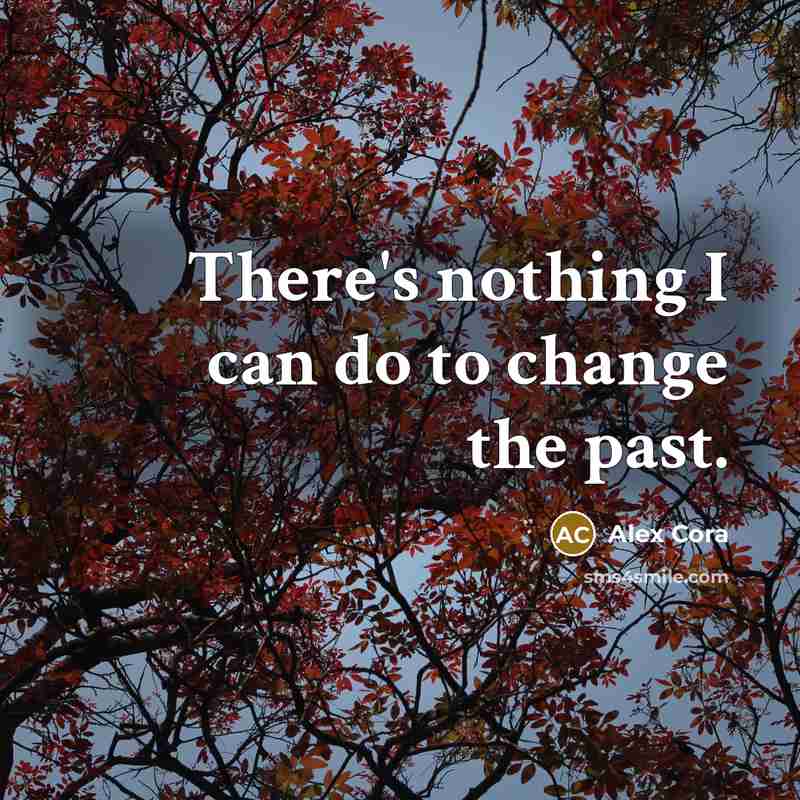 “There's nothing I can do to change the past.” quote by Alex Cora