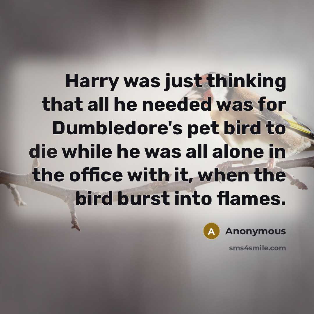 “Harry was just thinking that all he needed was for Dumbledore's pet bird to die while he was all alone in the office with it, when the bird burst into flames.” quote by Anonymous