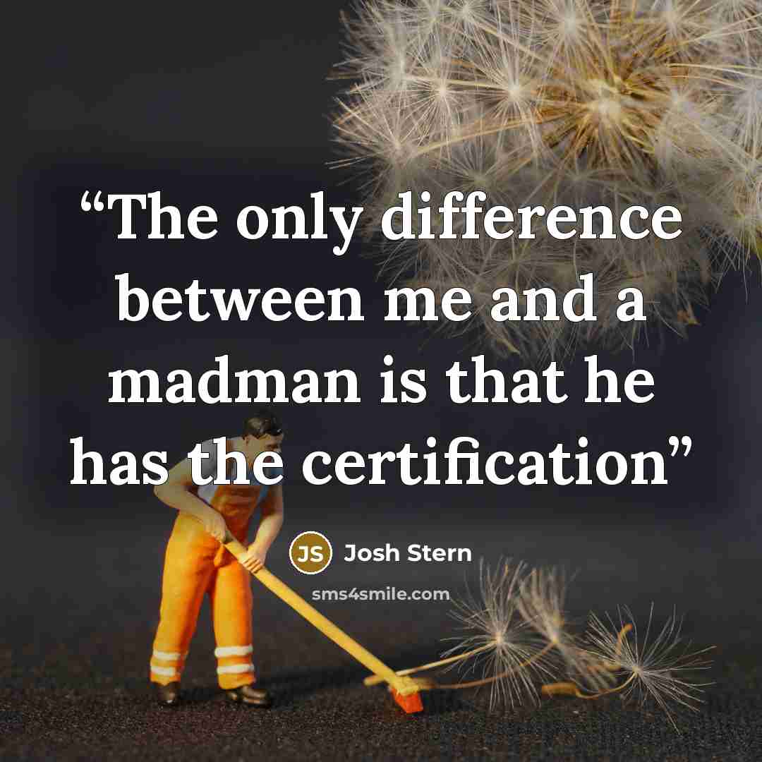 “The only difference between me and a madman is that he has the certification” quote by Josh Stern