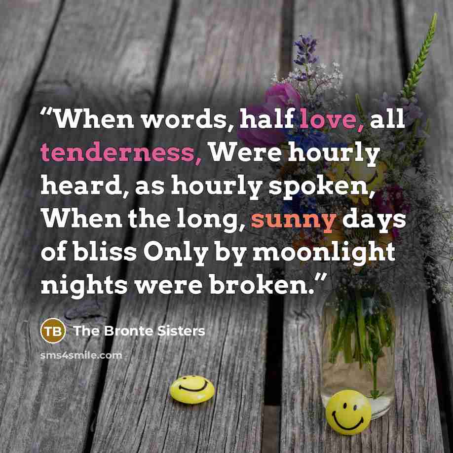 “When words, half love, all tenderness, Were hourly heard, as hourly spoken, When the long, sunny days of bliss Only by moonlight nights were broken.” quote by The Bronte Sisters