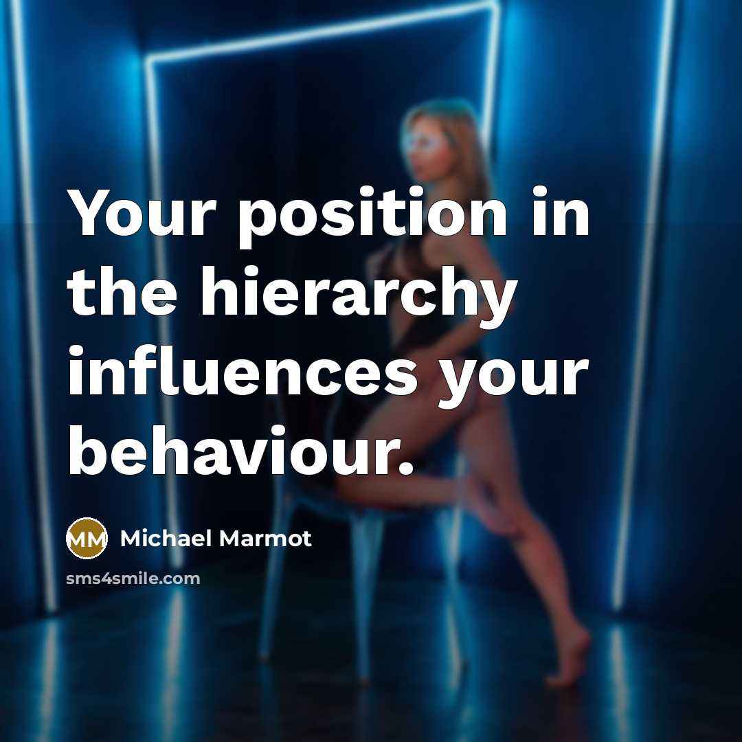 “Your position in the hierarchy influences your behaviour.” quote by Michael Marmot