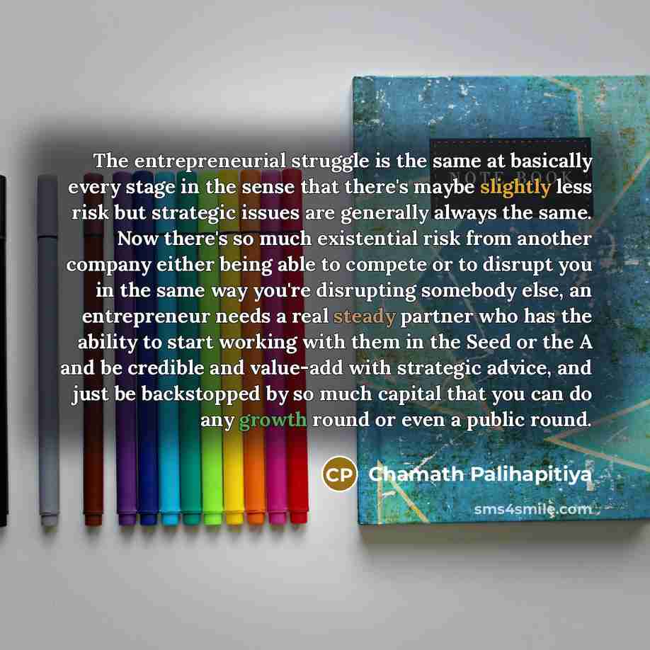 “The entrepreneurial struggle is the same at basically every stage in the sense that there's maybe slightly less risk but strategic issues are generally always the same. Now there's so much existential risk from another company either being able to compete or to disrupt you in the same way you're…” quote by Chamath Palihapitiya