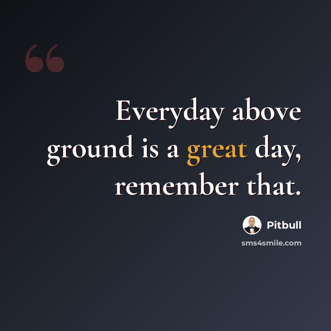 “Everyday above ground is a great day, remember that.” quote by Pitbull