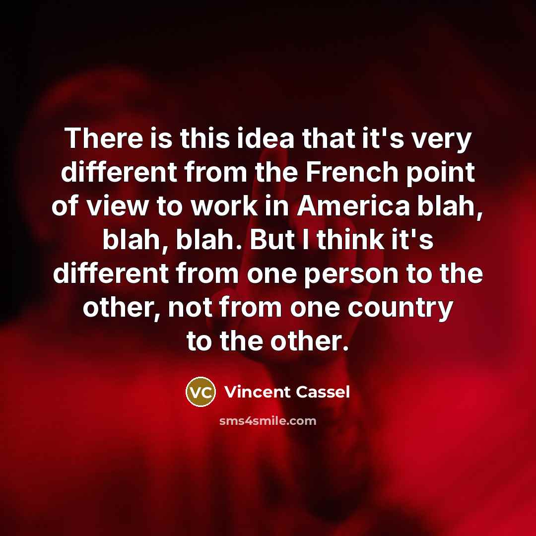 “There is this idea that it's very different from the French point of view to work in America blah, blah, blah. But I think it's different from one person to the other, not from one country to the other.” quote by Vincent Cassel