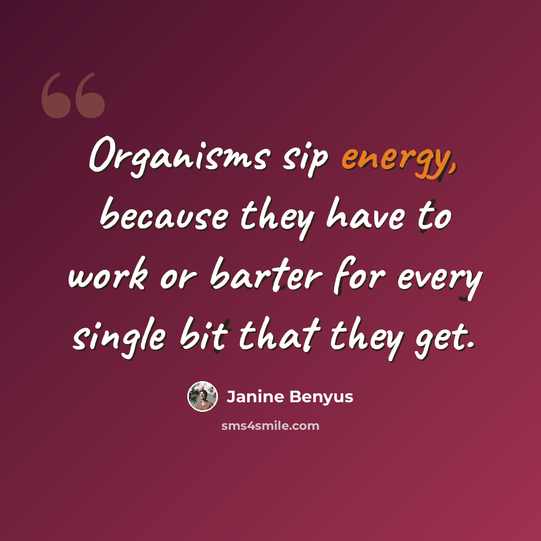“Organisms sip energy, because they have to work or barter for every single bit that they get.” quote by Janine Benyus