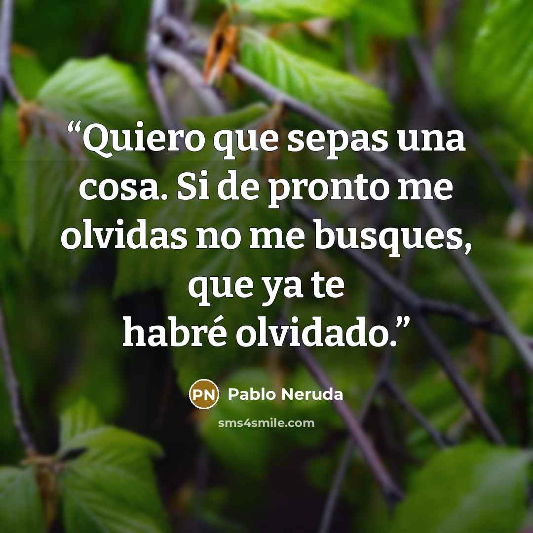 “Quiero que sepas una cosa. Si de pronto me olvidas no me busques, que ya te habré olvidado.” quote by Pablo Neruda