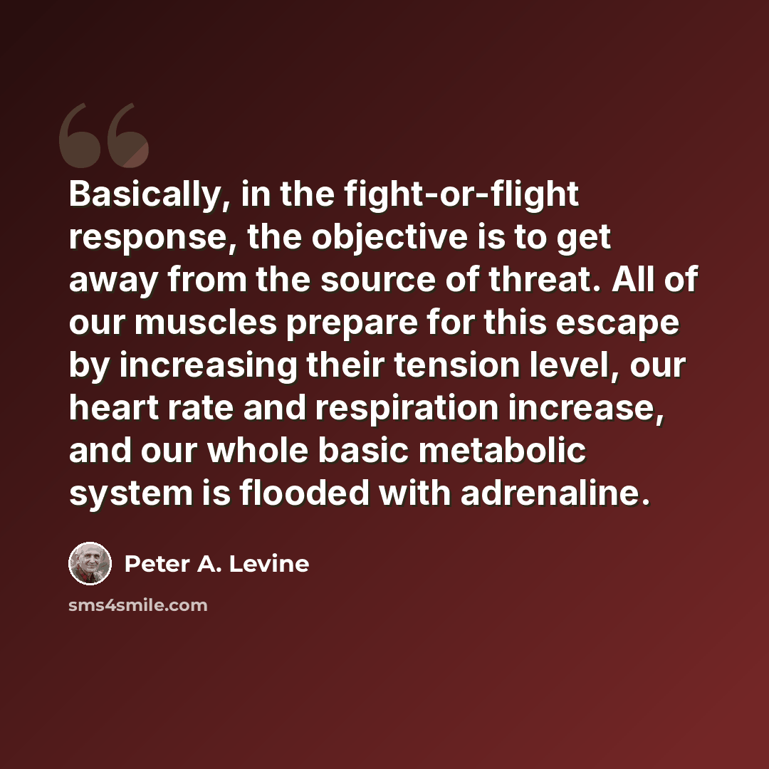 “Basically, in the fight-or-flight response, the objective is to get away from the source of threat. All of our muscles prepare for this escape by increasing their tension level, our heart rate and respiration increase, and our whole basic metabolic system is flooded with adrenaline.” quote by Peter A. Levine