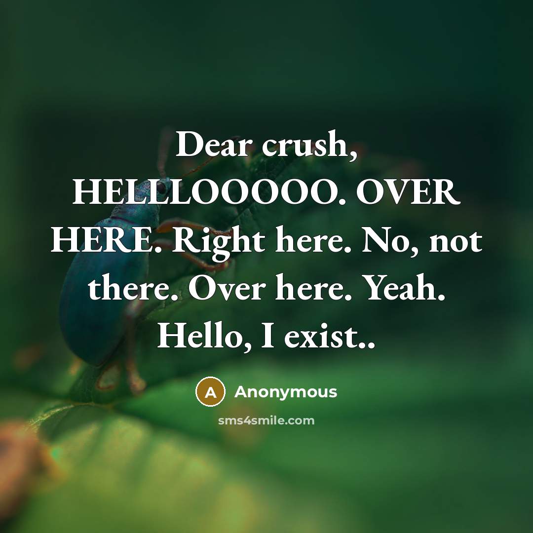 “Dear crush, HELLLOOOOO. OVER HERE. Right here. No, not there. Over here. Yeah. Hello, I exist..” quote by Anonymous