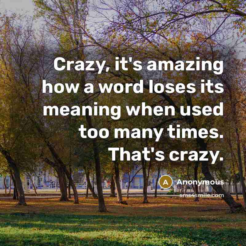 “Crazy, it's amazing how a word loses its meaning when used too many times. That's crazy.” quote by Anonymous