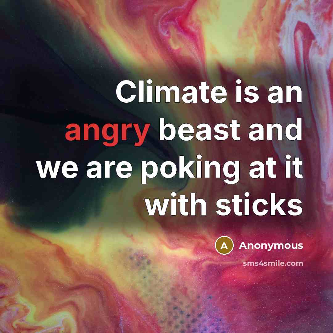 “Climate is an angry beast and we are poking at it with sticks” quote by Anonymous